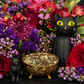 Black Cat Herbs + Candle Dressing + Luck + Gato Negro + Returning Lost Lovers + Invisibility + Avoid Danger + Blessed
