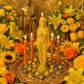 Sun Working + Success + Wealth + Victory + Royalty + Fame + Health + Fatherhood
