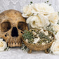 Espanta Muerto Herb Bath + Ghost Chaser + Remove Unwanted Spirits, Negative Energy, Jinxes, Hexes, Curses + Scare the Dead Away + Drive Away Evil
