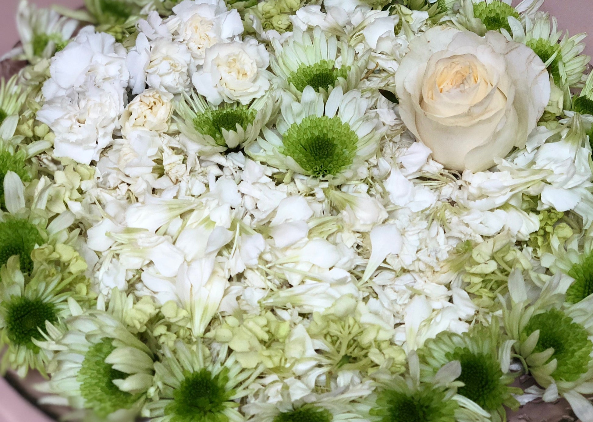 White Flower Bath Soak + Salts and Traditional Ritual Bath (Spiritual Cleansing Bath)