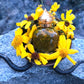 Ochun Oil + Oshun + Virgen de la Caridad del Cobre + Love + Wealth