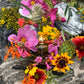 Santa Muerte Siete Colores Oil + All-Purpose + Love + Luck + Money + Siete Potencias