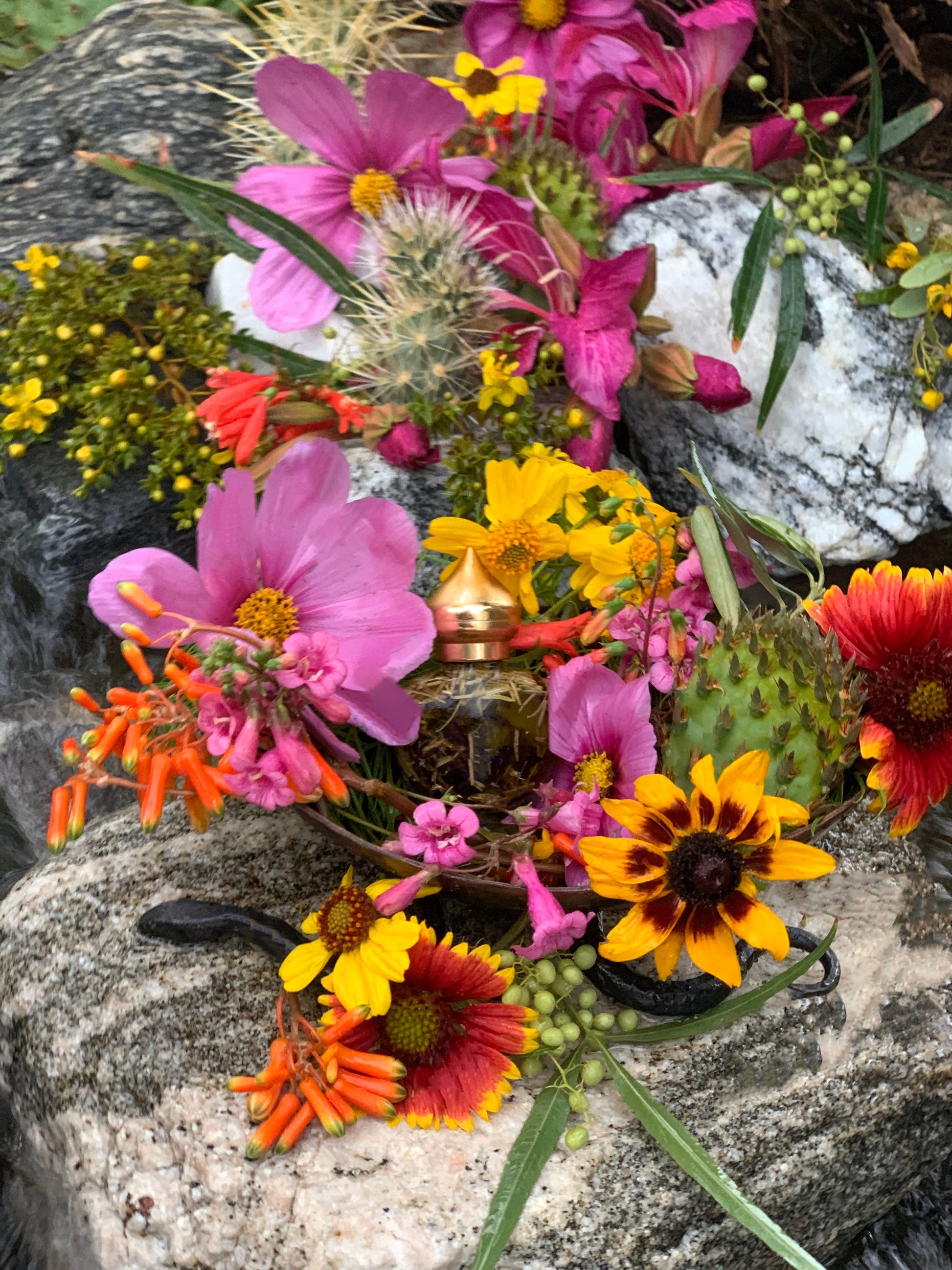 Santa Muerte Siete Colores Oil + All-Purpose + Love + Luck + Money + Siete Potencias