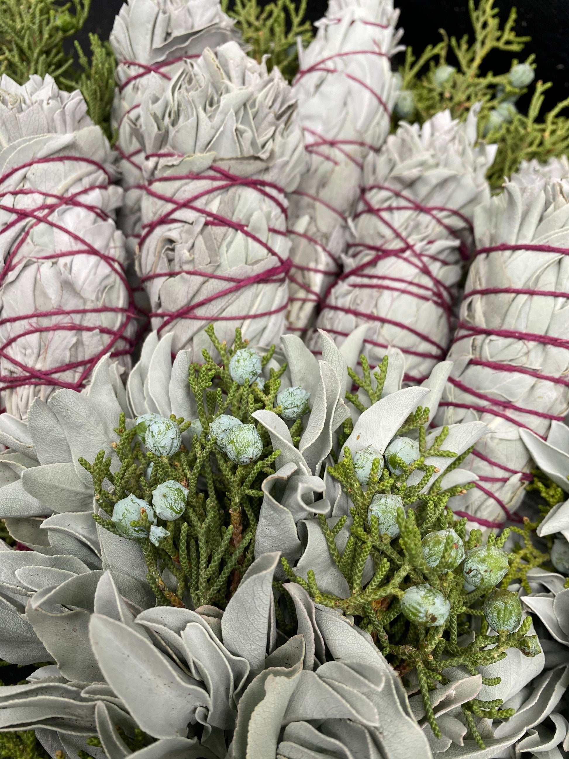 FRESH Wildcrafted White Sage Torch + Bundle with Natural Hemp Twine + Smoke Cleansing
