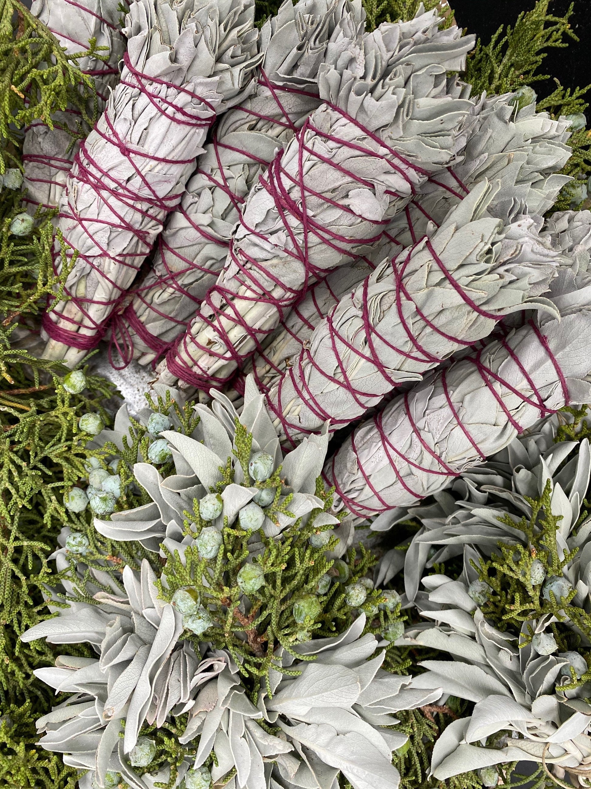FRESH Wildcrafted White Sage Torch + Bundle with Natural Hemp Twine + Smoke Cleansing