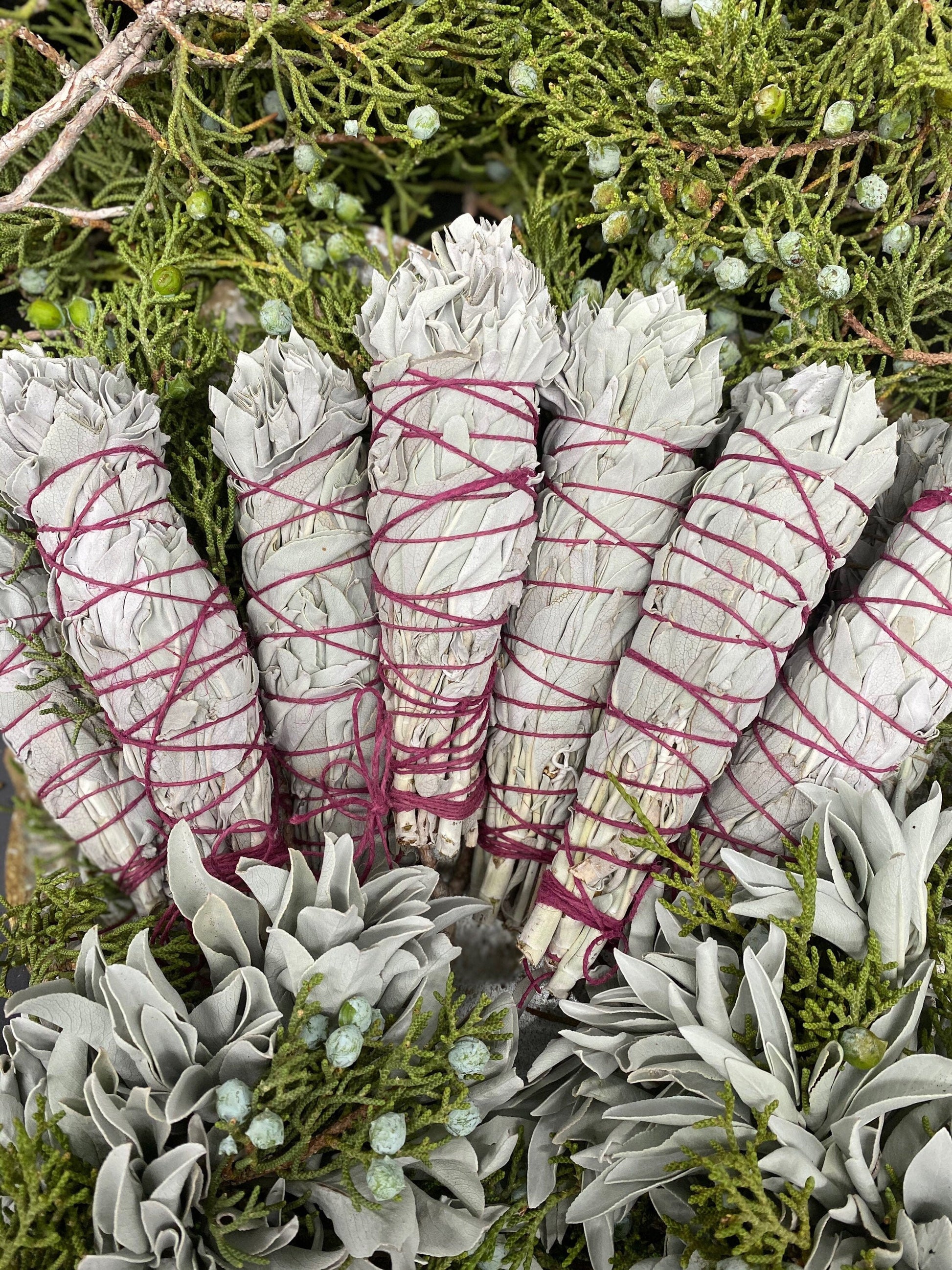 FRESH Wildcrafted White Sage Torch + Bundle with Natural Hemp Twine + Smoke Cleansing