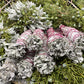 FRESH Wildcrafted White Sage Torch + Bundle with Natural Hemp Twine + Smoke Cleansing