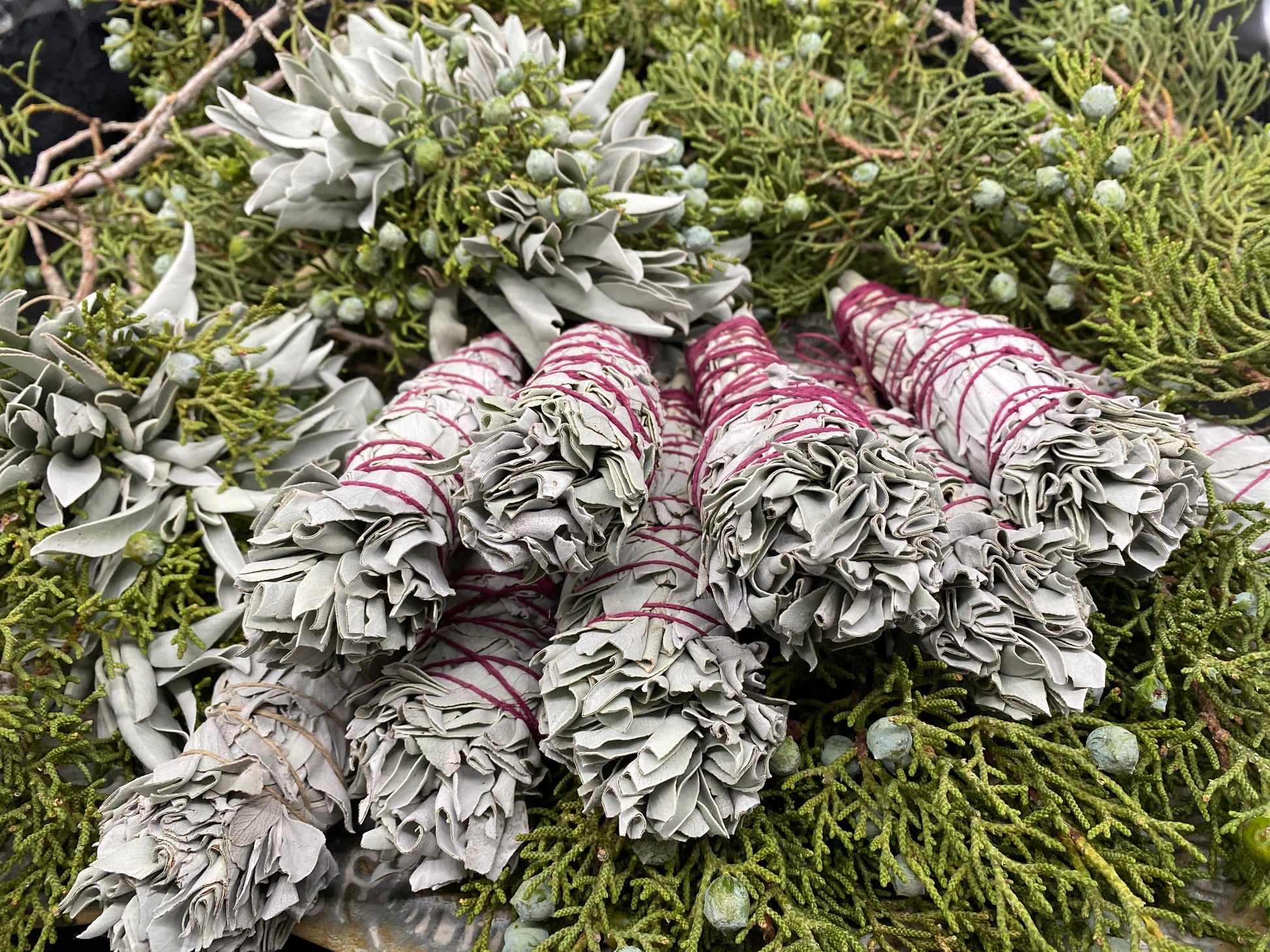 FRESH Wildcrafted White Sage Torch + Bundle with Natural Hemp Twine + Smoke Cleansing
