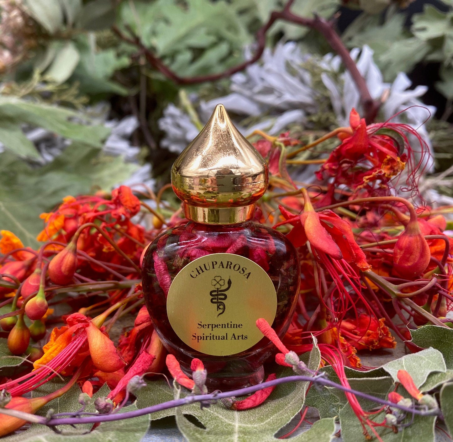 AUTHENTIC Chuparrosa Oil! Wildcrafted Ingredients! Traditional Brujeria + Chuparosa + Sweet Love + Friendship + Abundance + Luck + Colibrí