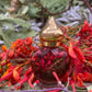 AUTHENTIC Chuparrosa Oil! Wildcrafted Ingredients! Traditional Brujeria + Chuparosa + Sweet Love + Friendship + Abundance + Luck + Colibrí