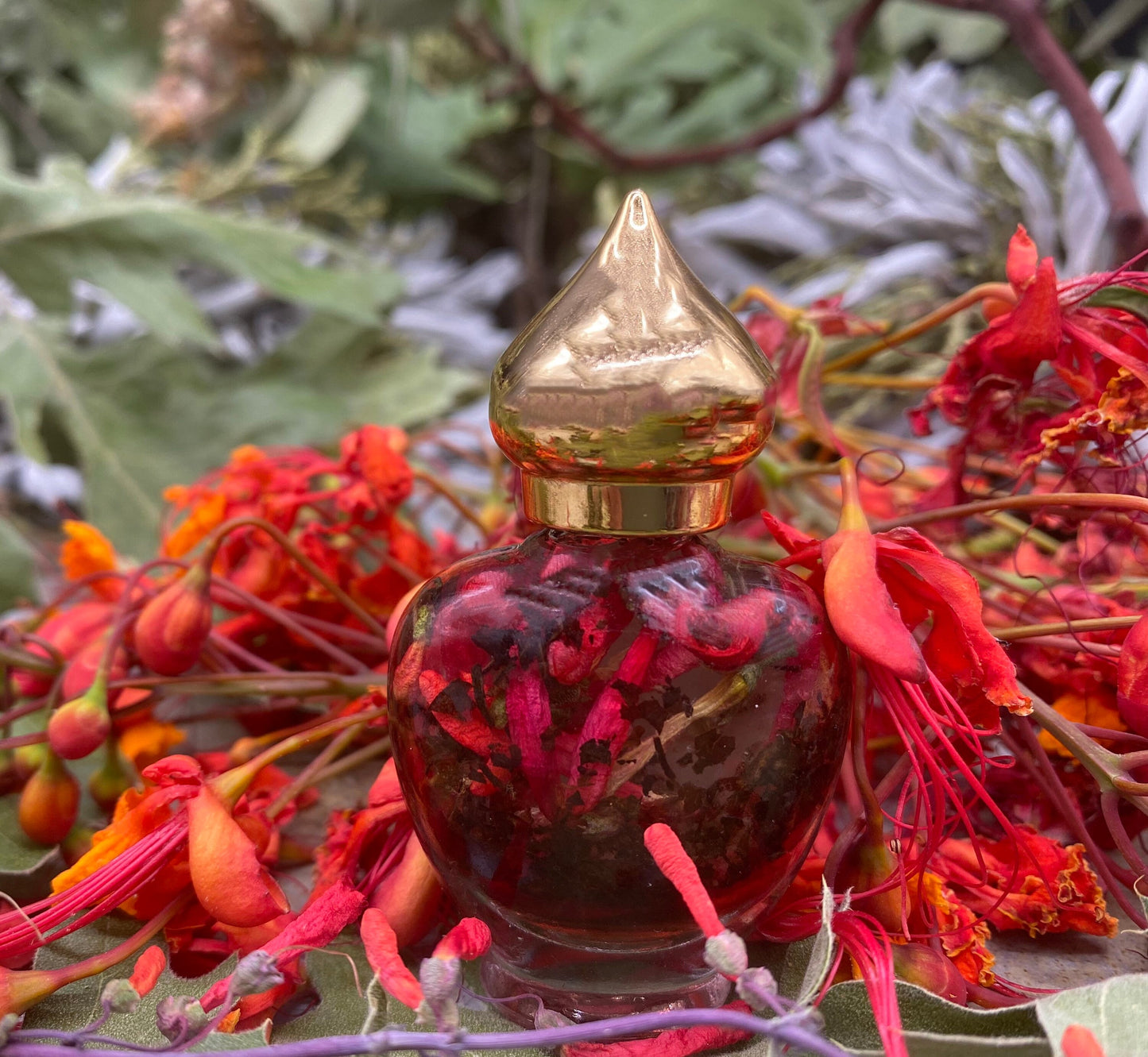 AUTHENTIC Chuparrosa Oil! Wildcrafted Ingredients! Traditional Brujeria + Chuparosa + Sweet Love + Friendship + Abundance + Luck + Colibrí