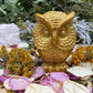 Owl Candle + Sante Muerte + Hecate + Wisdom + Passing Exams