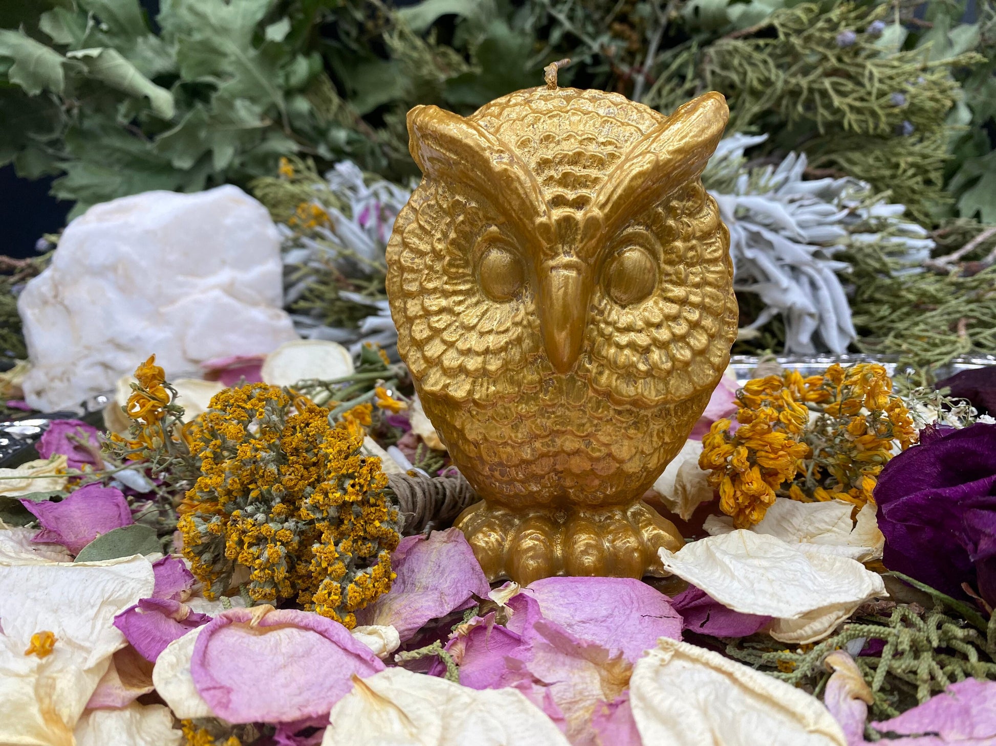 Owl Candle + Sante Muerte + Hecate + Wisdom + Passing Exams
