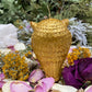 Owl Candle + Sante Muerte + Hecate + Wisdom + Passing Exams