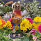Santa Muerte Siete Colores Statue + 24K Gold + Baptized + Embarazada + Pregnant + Fixed + Made in Mexico