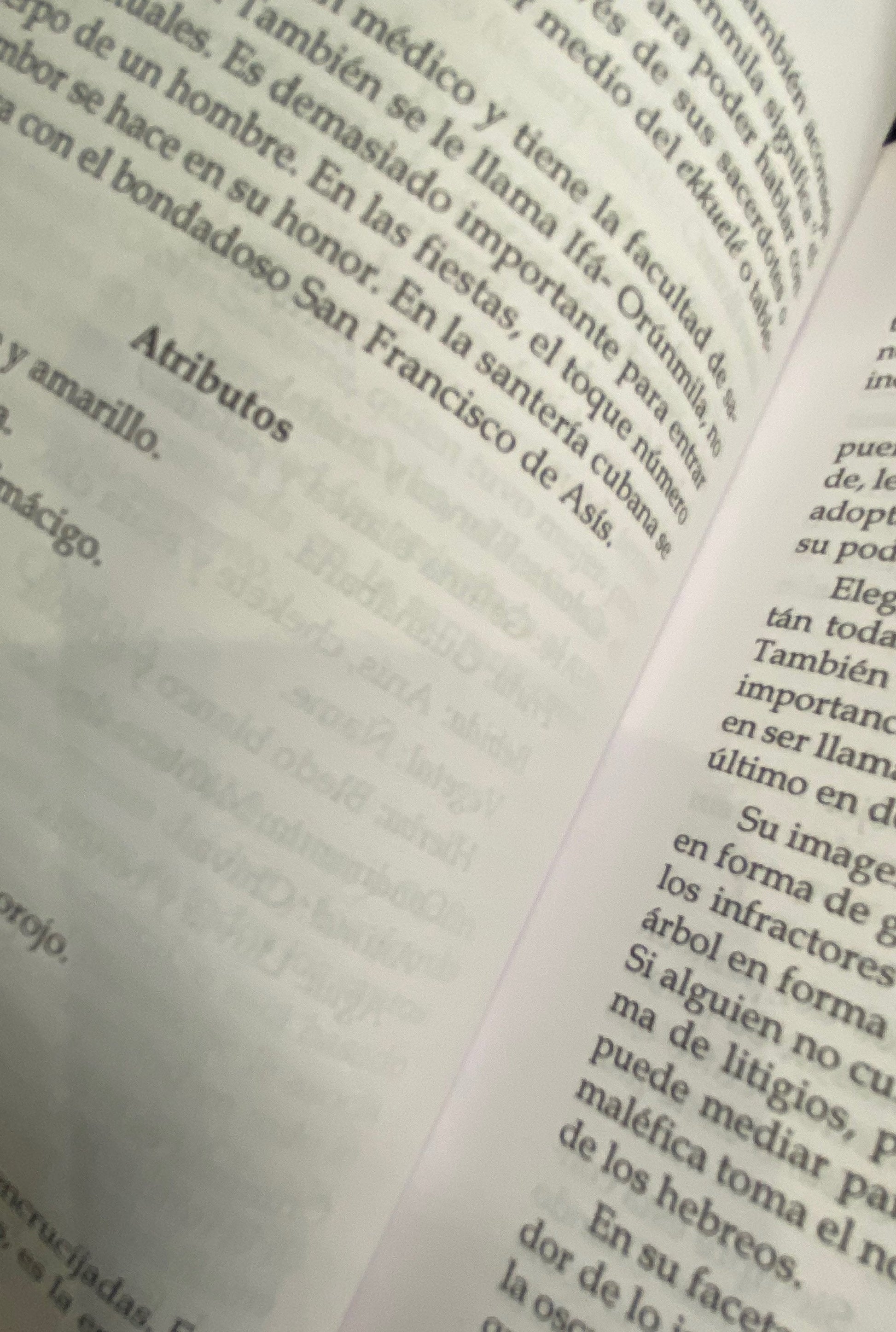 Santeria + Ritos, Adivinacion, y Magia + From Mexico *NEW BOOK*