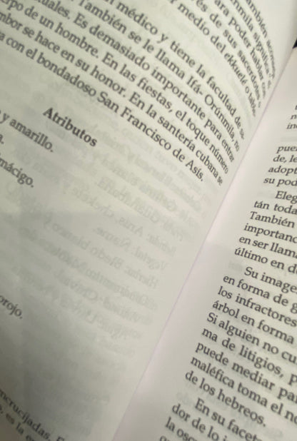 Santeria + Ritos, Adivinacion, y Magia + From Mexico *NEW BOOK*