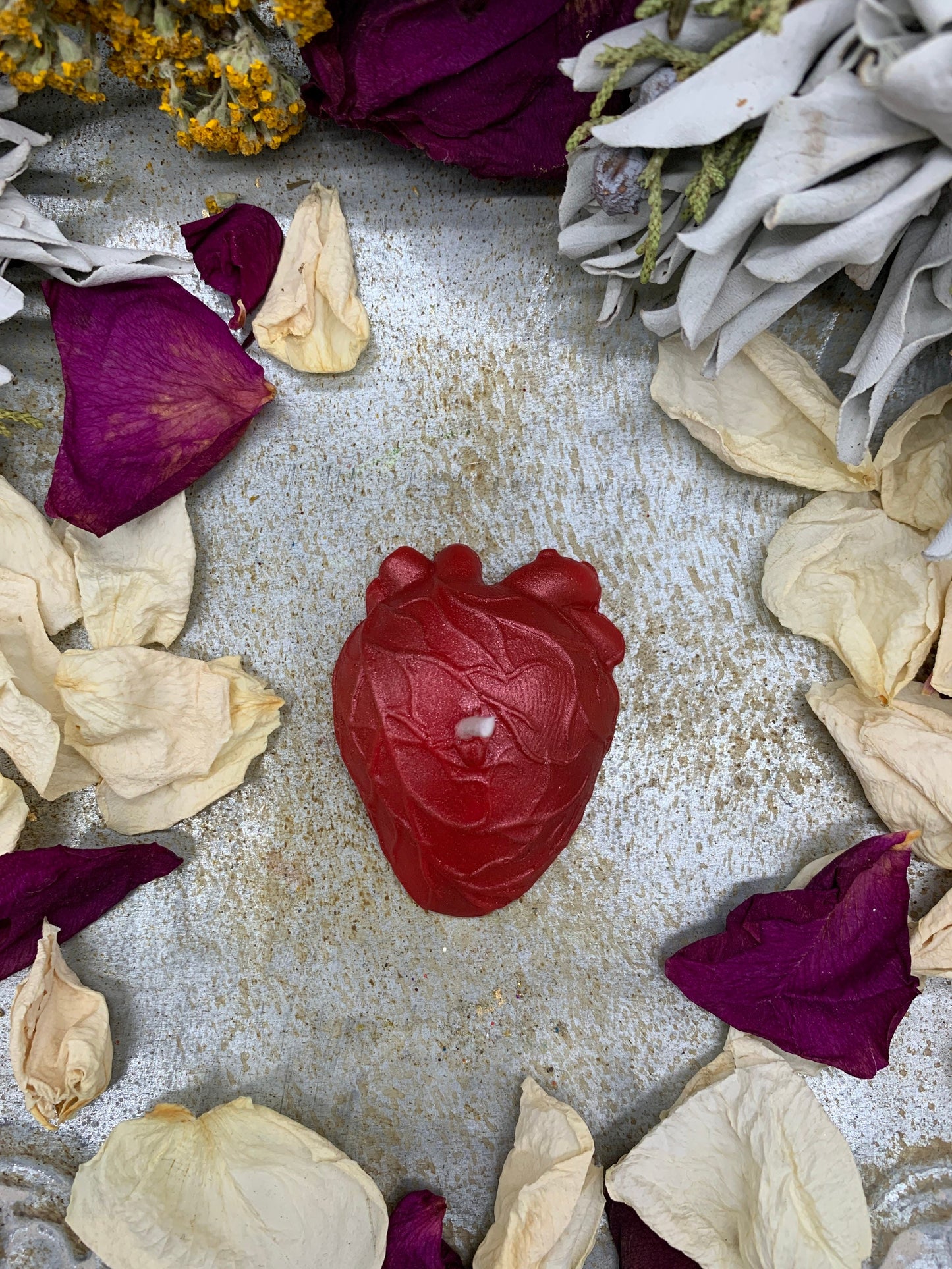 Small Anatomical Heart Candles in Gift Box + Love