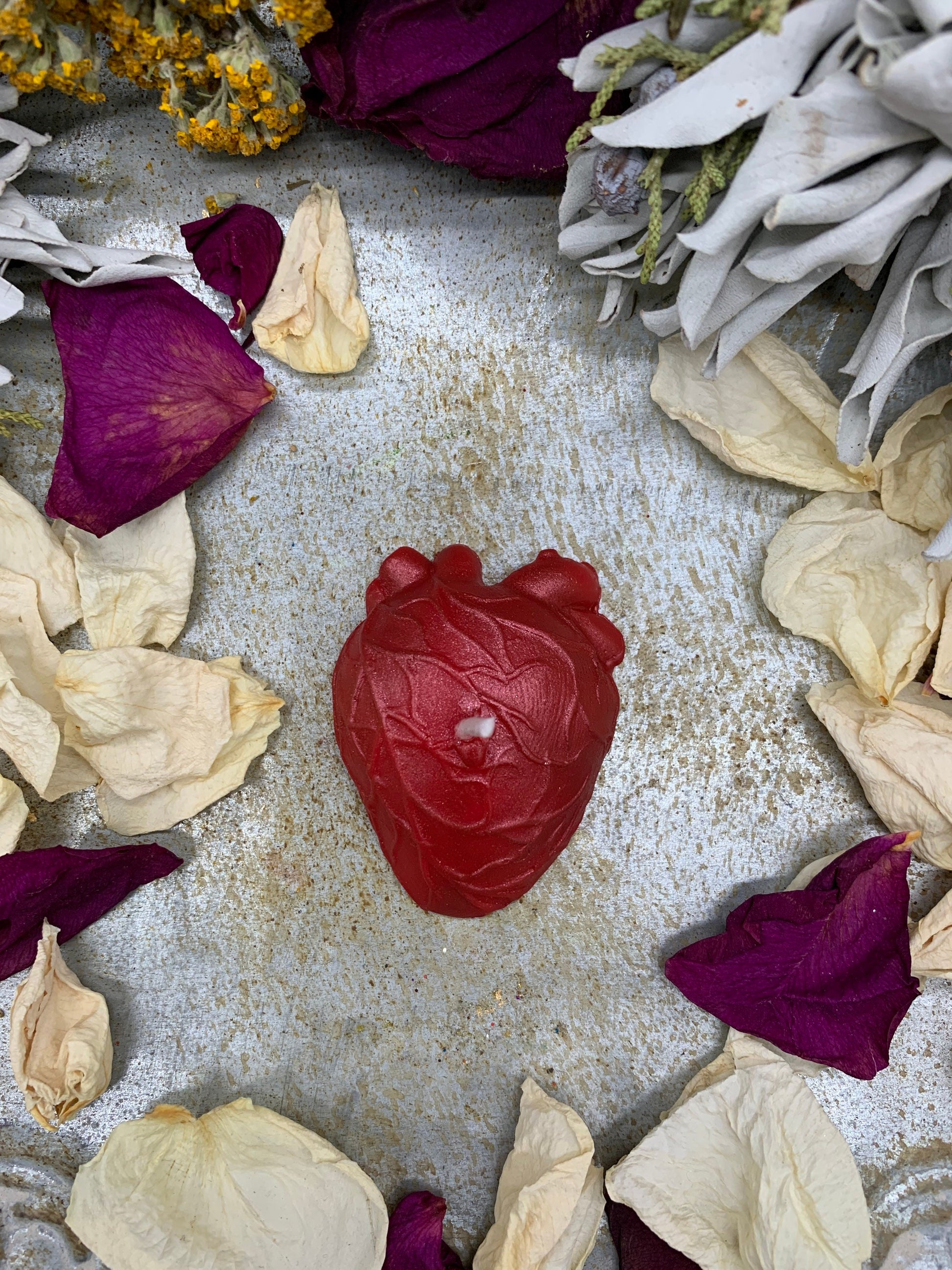Small Anatomical Heart Candles in Gift Box + Love