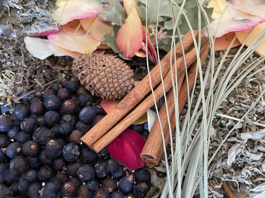 Mabon Herbs + Autumn Equinox + Fall + Blessed