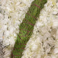 FRESH Wildcrafted Cedar & Pine Bundle with Natural Hemp Twine