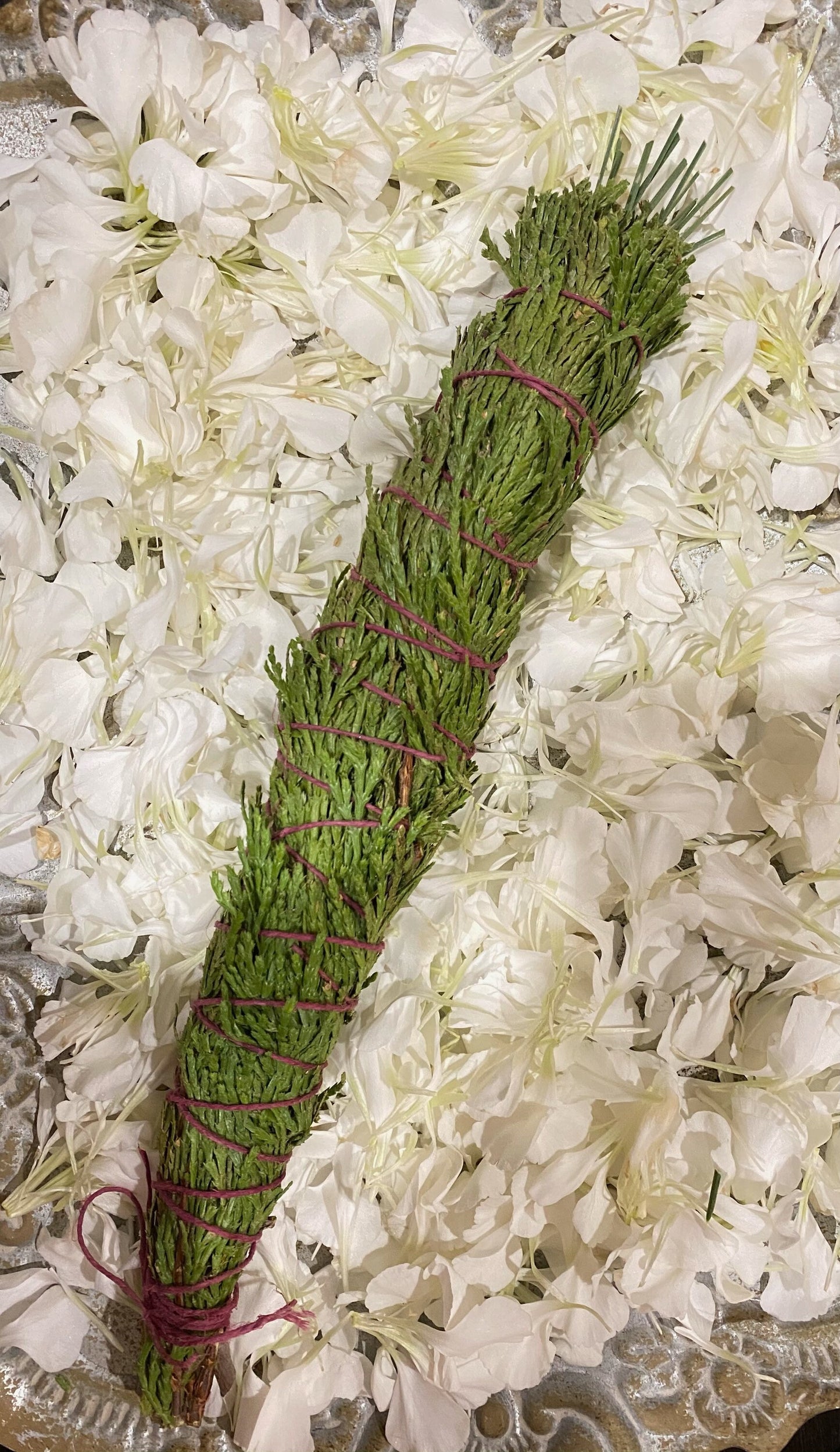 FRESH Wildcrafted Cedar & Pine Bundle with Natural Hemp Twine
