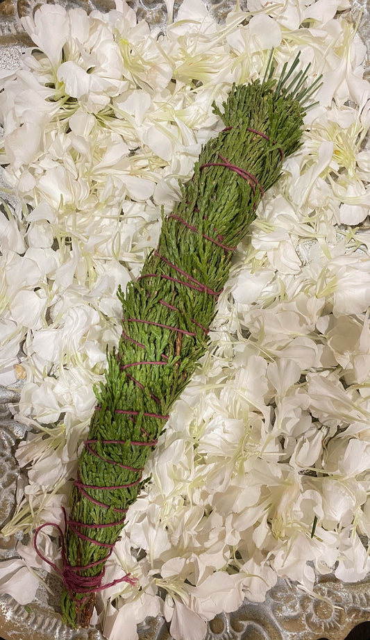 FRESH Wildcrafted Cedar & Pine Bundle with Natural Hemp Twine