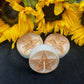 Pentacle Tealight Candles in Gift Box