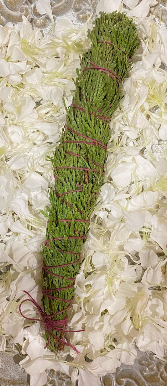 FRESH Wildcrafted Cedar Bundle with Natural Hemp Twine