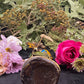 Santa Muerte Azteca Statue + 24K Gold + Baptized + Fixed + Made in Mexico