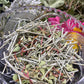 AUTHENTIC Chuparrosa! Wildcrafted + Love + Abundance + Luck + Chuparosa + Flowers & Leaves + Limited Supply + Short Grow Season + Colibrí