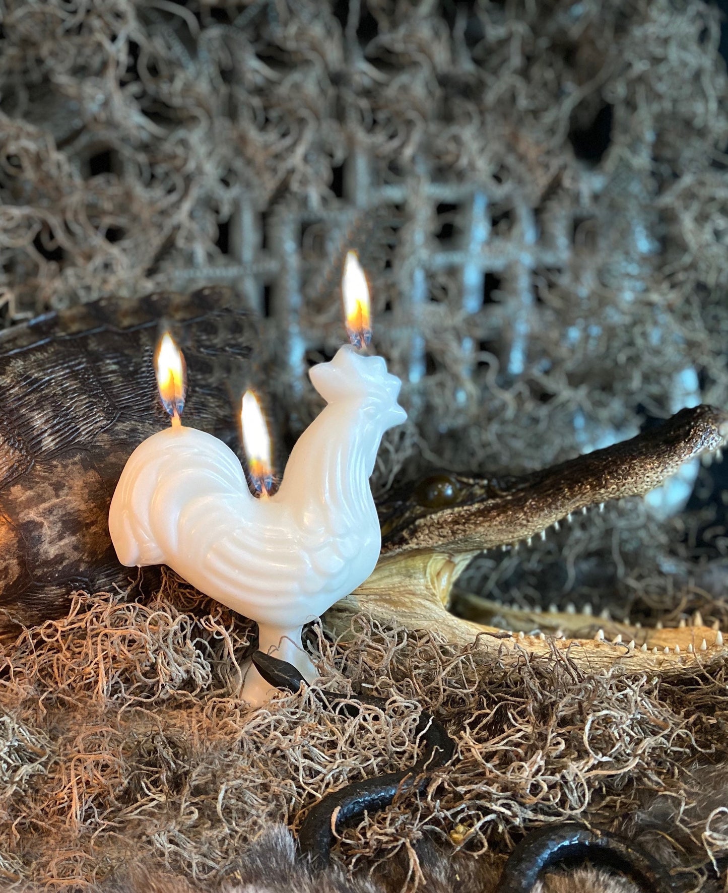 Rooster Candle + Hoodoo + Voodoo + Conjure + Uncrossing + Desenvolvimiento