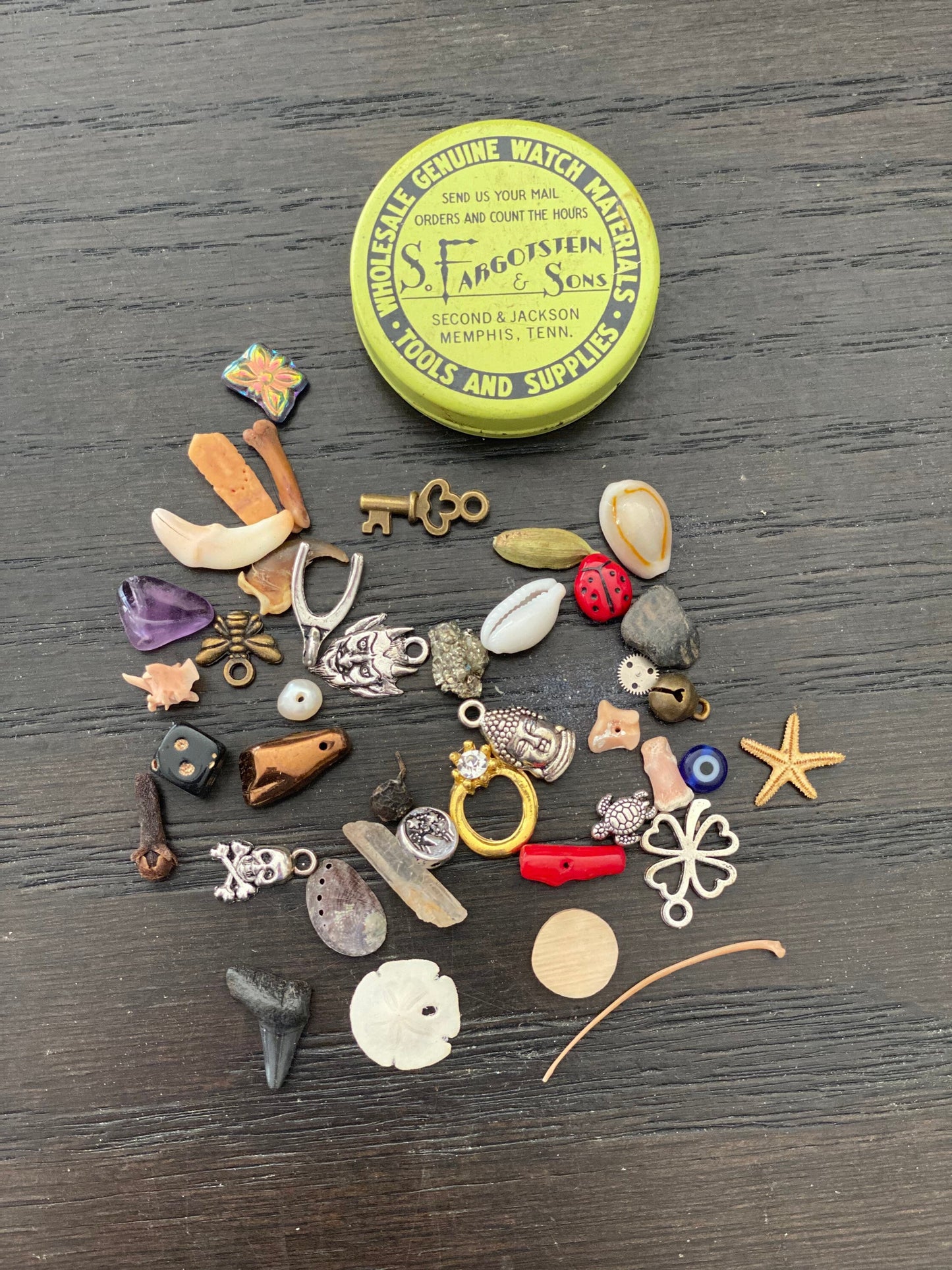 Medium Vintage Fargostein Tinned Travel Bone, Shell, and Trinket Divination Collection (40 Pieces)