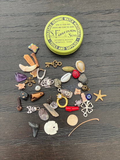 Medium Vintage Fargostein Tinned Travel Bone, Shell, and Trinket Divination Collection (40 Pieces)