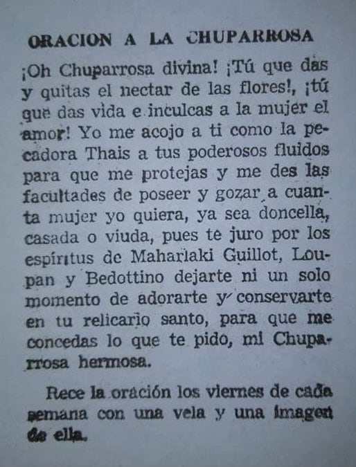 AUTHENTIC Chuparrosa Oil! Wildcrafted Ingredients! Traditional Brujeria + Chuparosa + Sweet Love + Friendship + Abundance + Luck + Colibrí
