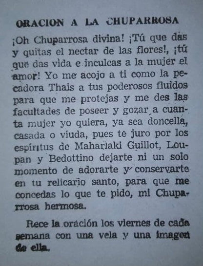 AUTHENTIC Chuparrosa Oil! Wildcrafted Ingredients! Traditional Brujeria + Chuparosa + Sweet Love + Friendship + Abundance + Luck + Colibrí