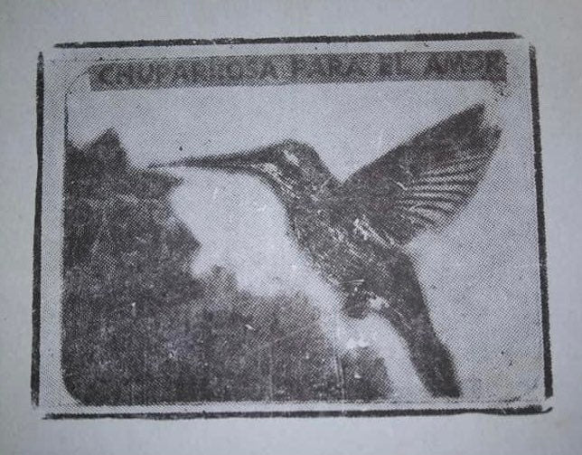 AUTHENTIC Chuparrosa! Wildcrafted + Love + Abundance + Luck + Chuparosa + Flowers & Leaves + Limited Supply + Short Grow Season + Colibrí