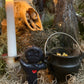 Voodoo Doll Candle + Poppet + Love + Money + Cleansing + Overcome Enemies + New Orleans