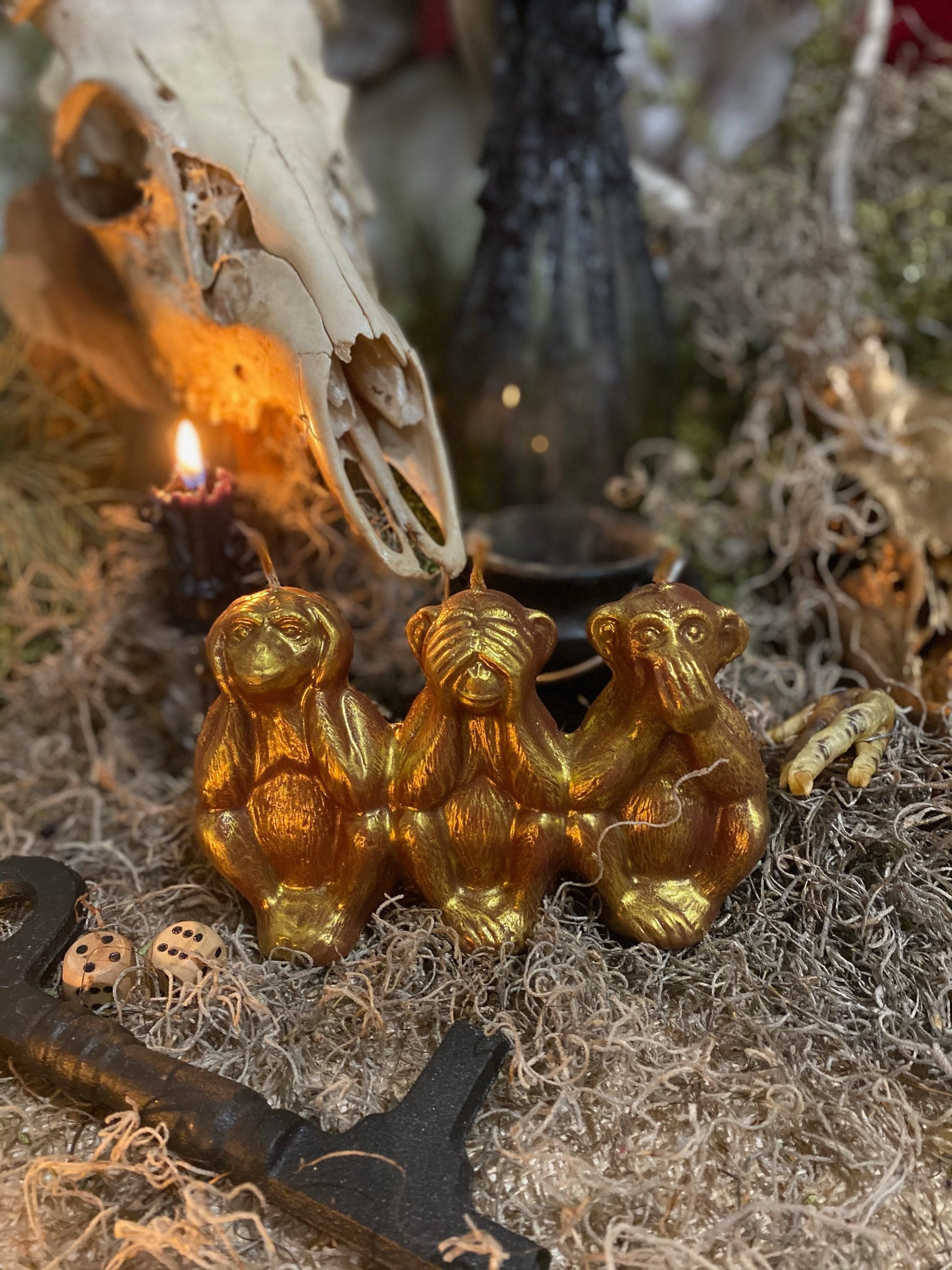 Three Wise Monkeys Candle + Hear No Evil + See No Evil + Speak No Evil + Stop Gossip & Jealousy + Wishes + Hide Spells