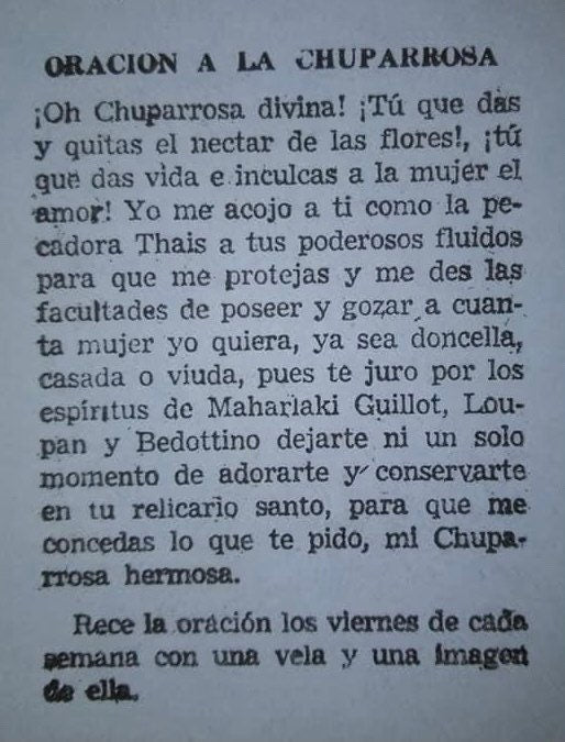 AUTHENTIC Chuparosa Flowers! Wildcrafted + Love + Abundance + Luck + Friendship + Chuparrosa + Limited Supply + Short Grow Season + Colibrí