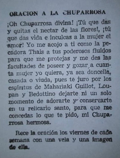 AUTHENTIC Chuparosa Flowers! Wildcrafted + Love + Abundance + Luck + Friendship + Chuparrosa + Limited Supply + Short Grow Season + Colibrí