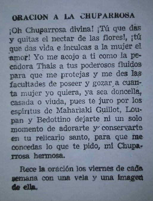 AUTHENTIC Chuparrosa! Wildcrafted + Love + Abundance + Luck + Chuparosa + Flowers & Leaves + Limited Supply + Short Grow Season + Colibrí