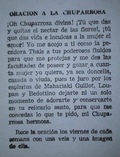 AUTHENTIC Chuparrosa! Wildcrafted + Love + Abundance + Luck + Chuparosa + Flowers & Leaves + Limited Supply + Short Grow Season + Colibrí