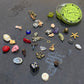 Small Vintage Fargostein Tinned Travel Bone, Shell, and Trinket Divination Collection (35 Pieces)