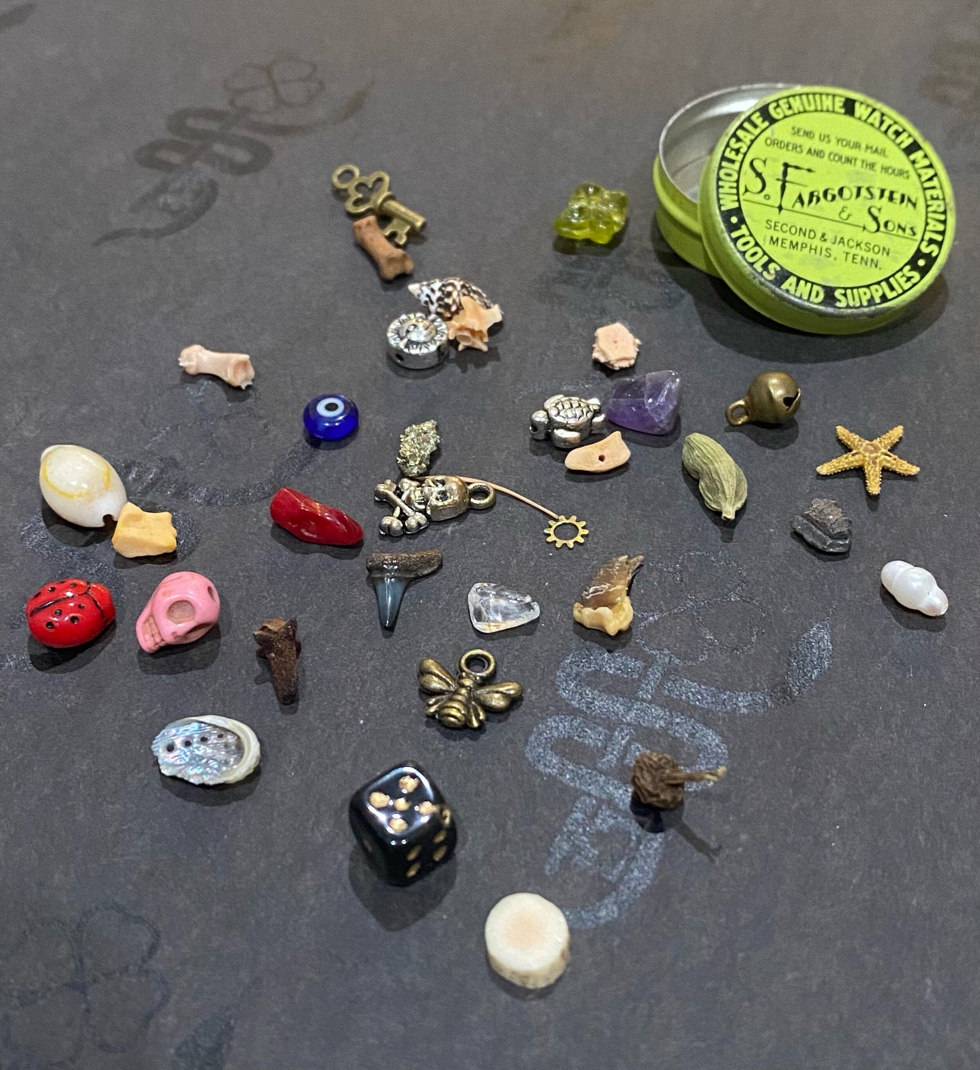 Small Vintage Fargostein Tinned Travel Bone, Shell, and Trinket Divination Collection (35 Pieces)