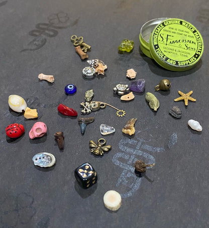 Small Vintage Fargostein Tinned Travel Bone, Shell, and Trinket Divination Collection (35 Pieces)