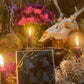 Black Cat Tealight Candles + Gift Box + Luck + Gambling + Samhain + Halloween