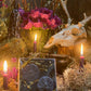 Spider Tealight Candles + Gift Box + Santa Muerte + Samhain + Halloween