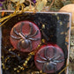Spider Tealight Candles + Gift Box + Santa Muerte + Samhain + Halloween