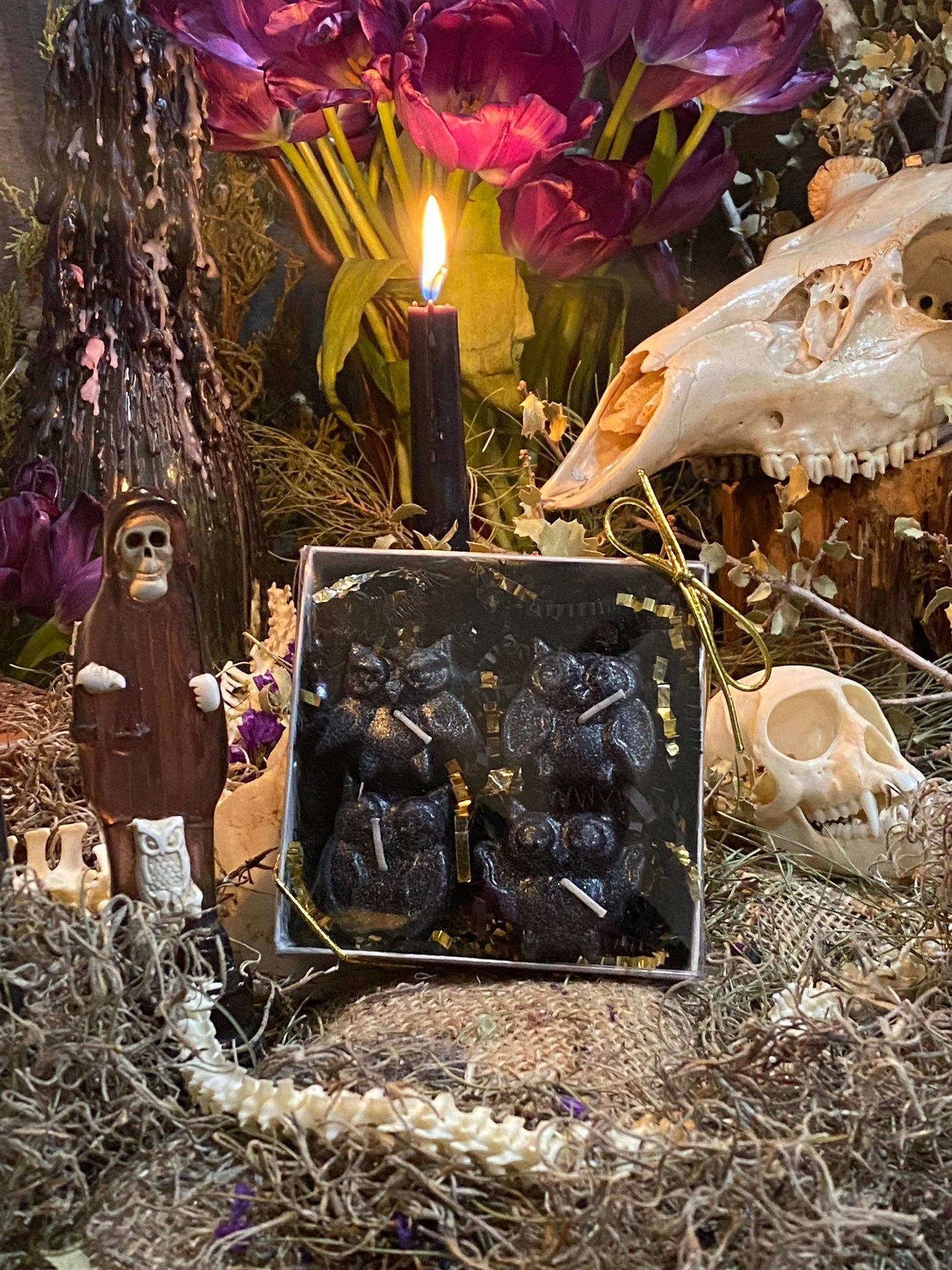 Owl Tealight Candles + Gift Box + Wisdom + Passing Exams